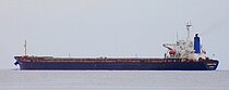 OCEANIC STAR — Bulk Carrier, PANAMA flag, built 1994