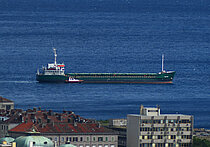 WALKER — General Cargo Ship, St. Kitts & Nevis flag, built 1994