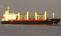PRINCESS SUZAN — Bulk Carrier, Panama flag, built 1994