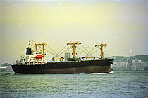 RAINBOW JOY — General Cargo Ship, KOREA, REPUBLIC OF flag, built 1995