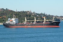 JIN CANG — Bulk Carrier, China flag, built 1995