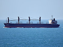 SUNJIN No.8