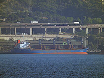 EVOLUTION — Bulk Carrier, Republic of Liberia flag, built 1995