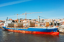 MONTE DA GUIA — Container Ship, Portugal (Madeira) flag, built 1995