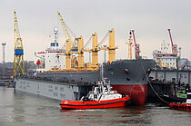FUTURE ID — Bulk Carrier, St.Kitts and Nevis flag, built 1995