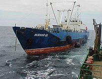 DIONA — Fishing Vessel, RUSSIAN FEDERATION flag, built 1995