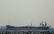 OCEAN DOLPHIN — Oil And Chemical Tanker, DOMINICA flag, built 1995