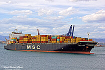 MSC ALEXA