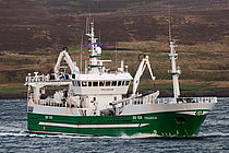 FELUCCA — Fishing Vessel, WESTERN SAHARA flag, built 1995