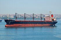 SWORD LION — Bulk Carrier, Turkey flag, built 1996