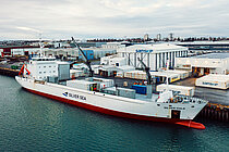 SILVER GALE
