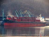 ORIENTAL PHOENIX — Bulk Carrier, Liberia flag, built 1997