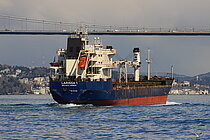 LARISSA 1 — Bulk Carrier, The Republic of Palau flag, built 1999
