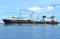ANTARCTIC SEA — Service Ship, Norway flag, built 1999
