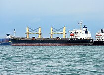 APEX IRON — Bulk Carrier, Panama flag, built 1998
