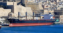 LUCA — Bulk Carrier, PANAMA flag, built 1998