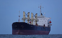 NEW LOTUS — Bulk Carrier, Republic of Panama flag, built 1998