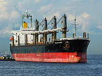 RI YUN — Bulk Carrier, Vaiano; The Republic of Panama flag, built 1998