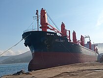 CATIVERA — Bulk Carrier, Panama flag, built 1998