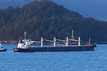 CAPTAIN RABIE — Bulk Carrier, St.Kitts and Nevis flag, built 1999