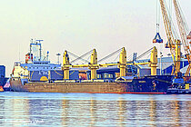 DINA OCEAN