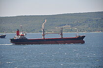 LUNA MARE — General Cargo Ship, Panama flag, built 1999