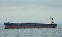 MARINE FORTUNE 1