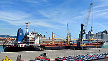 TARSUS M — Bulk Carrier, Republic of Panama flag, built 2006