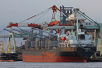SYCAMORE SOUTH 15 — Bulk Carrier, Vietnam flag, built 1999