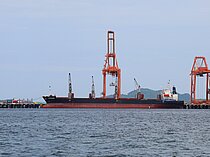 SEA PEARL S — Bulk Carrier, St.Kitts and Nevis flag, built 1999