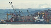 ROZANA — Bulk Carrier, Bosphorus Belize flag, built 2000