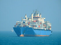 WADI ALRAYAN — Container Ship, EGYPT flag, built 2000