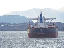 OKRA 1 — Bulk Carrier, LIBERIA flag, built 1999