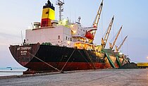 VENUS LUCKY — Bulk Carrier, INDONESIA flag, built 2000