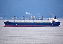 BAOSHAN REAP — Bulk Carrier, PANAMA flag, built 1999