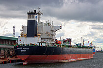 ORIENTAL PROMOTION — Bulk Carrier, Liberia flag, built 2001