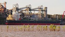 JASMINE 8 — Bulk Carrier, Panama flag, built 2001