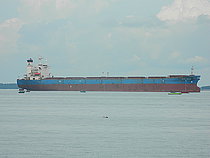SEA MAPLE — Bulk Carrier, The Commonwealth of the Bahamas flag, built 1999