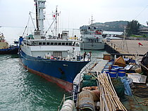 ATLANTIC QUEEN — Fishing Vessel, Ghana flag, built 2000