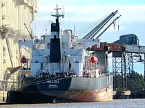 SEA EAGLE — Bulk Carrier, Panama flag, built 2001