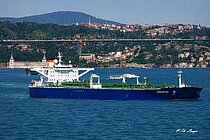 BLUE DHIR — Oil And Chemical Tanker, TANZANIA flag, built 2001