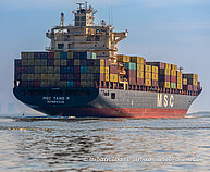 MSC YANG R
