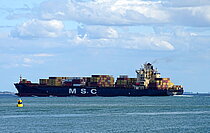 MSC ANISHA R.