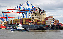 MSC KATYA R.