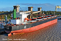TARIEL — Bulk Carrier, Panama flag, built 2001