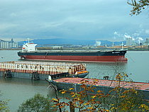 TIAN YI 16 — Bulk Carrier, China Peoples's Republic flag, built 2002