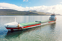 VIRGINIABORG — General Cargo Ship, Netherlands flag, built 2001