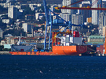ZHEN HUA 35