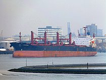 TIAN LI — Bulk Carrier, Republic of Vanuatu flag, built 2001