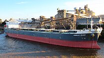 NAVIS PEACE — Bulk Carrier, Liberia flag, built 1999